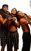 chilipeppers1.jpg (70375 bytes)