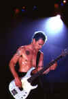 flea01.jpg (27707 bytes)