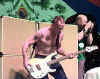 flea02.jpg (24709 bytes)